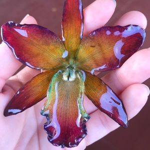 Real orchid hair clip/necklace💖